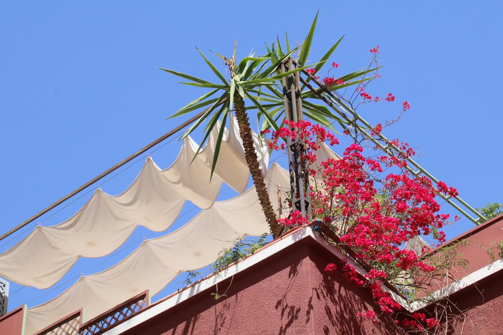 Riad Celia Marraquexe Exterior foto